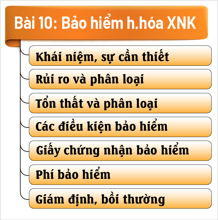 Bảo hiểm hàng hóa XNK