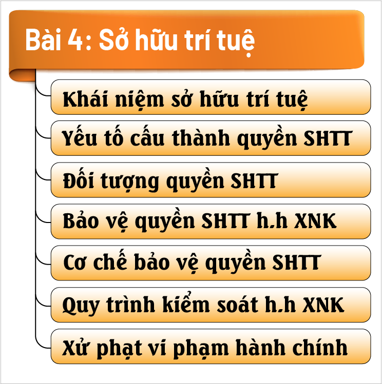 Sở hữu trí tuệ trong lĩnh vực hải quan
