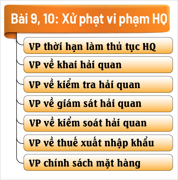 Xử lý vi phạm hành chính hải quan