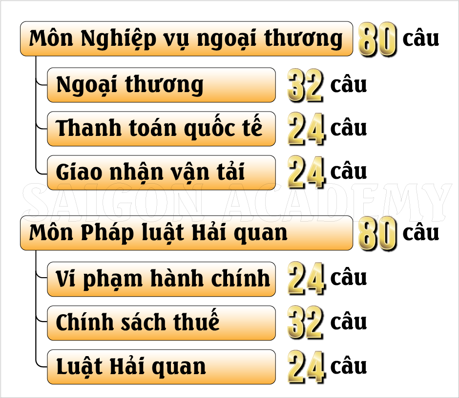 Cấu trúc đề thi chứng chỉ hải quan_1