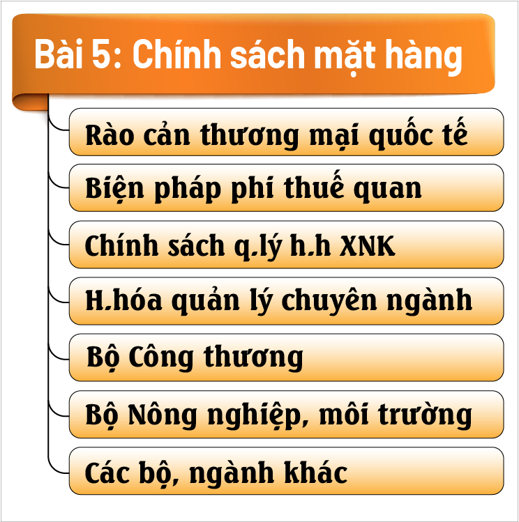 Chính sách mặt hàng