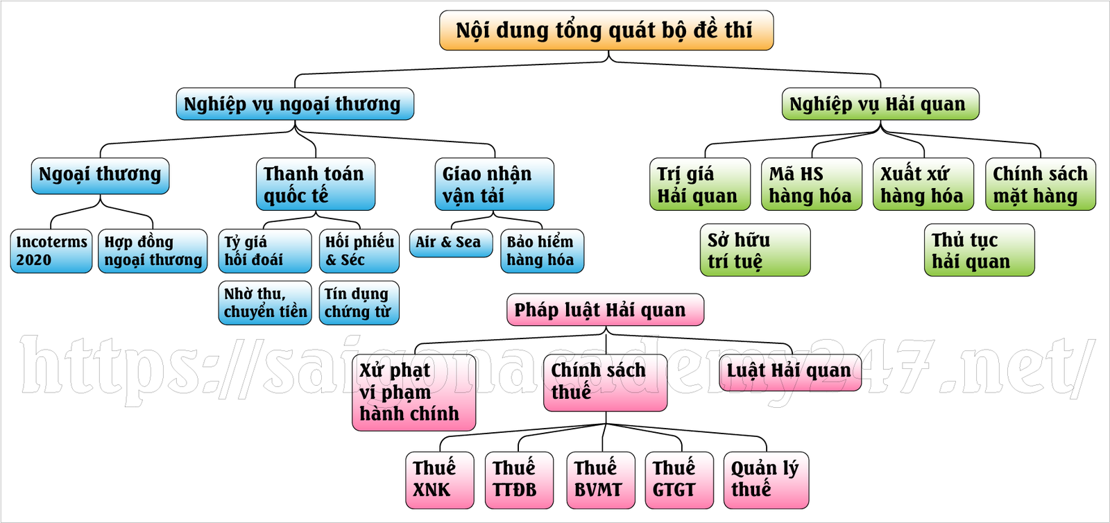Nội dung tổng quát bộ đề thi chứng chỉ hải quan